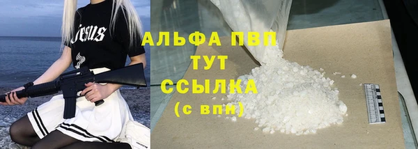 стаф Гусиноозёрск