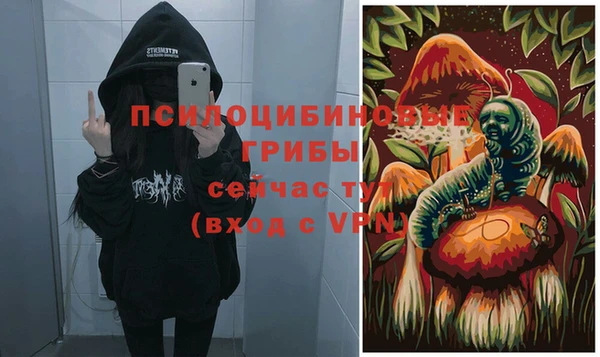 ALPHA PVP Гусь-Хрустальный
