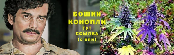 ALPHA PVP Гусь-Хрустальный