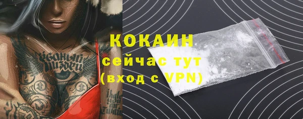 ALPHA PVP Гусь-Хрустальный
