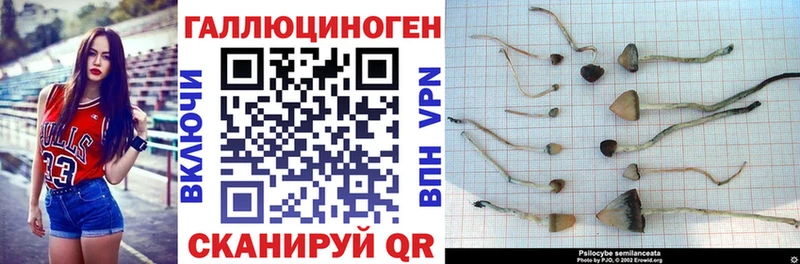 Галлюциногенные грибы мицелий  Меленки 